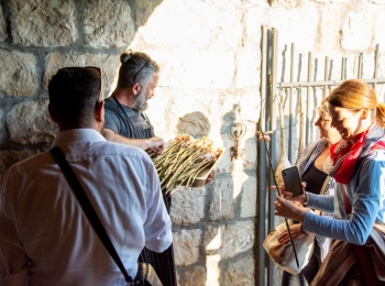 5. međunarodni kongres o ruralnom turizmuRuralni turizam(1)-101