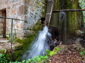5. međunarodni kongres o ruralnom turizmuRuralni turizam-108