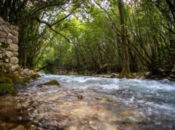 5. međunarodni kongres o ruralnom turizmuRuralni turizam-111
