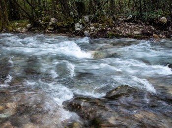 5. međunarodni kongres o ruralnom turizmuRuralni turizam-112