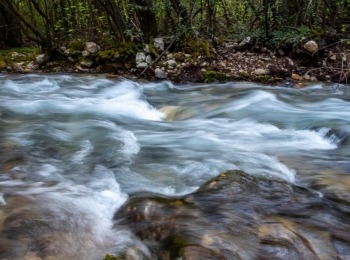 5. međunarodni kongres o ruralnom turizmuRuralni turizam-113