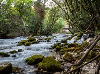 5. međunarodni kongres o ruralnom turizmuRuralni turizam-114