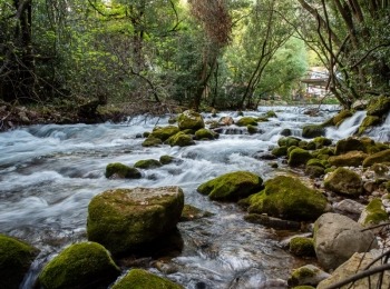 5. međunarodni kongres o ruralnom turizmuRuralni turizam-115
