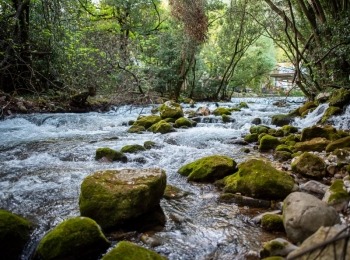 5. međunarodni kongres o ruralnom turizmuRuralni turizam-116