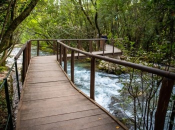 5. međunarodni kongres o ruralnom turizmuRuralni turizam-120