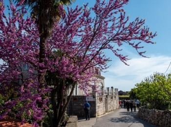 5. međunarodni kongres o ruralnom turizmuRuralni turizam-1