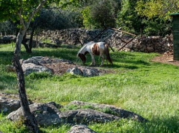 5. međunarodni kongres o ruralnom turizmuRuralni turizam-37