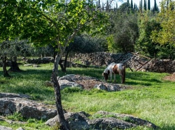 5. međunarodni kongres o ruralnom turizmuRuralni turizam-38