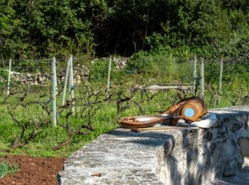 5. međunarodni kongres o ruralnom turizmuRuralni turizam-41