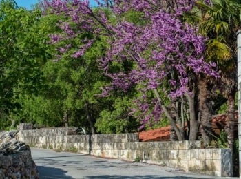 5. međunarodni kongres o ruralnom turizmuRuralni turizam-60