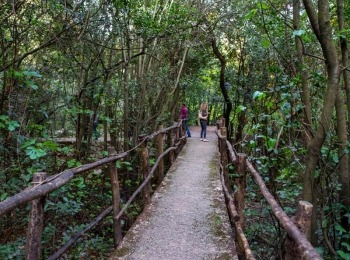 5. međunarodni kongres o ruralnom turizmuRuralni turizam-98