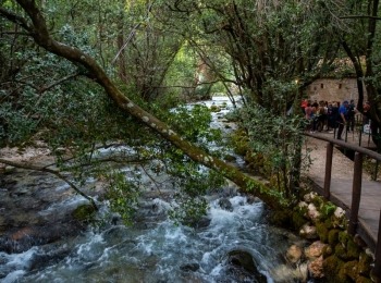 5. međunarodni kongres o ruralnom turizmuRuralni turizam-99