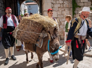 5. međunarodni kongres o ruralnom turizmuTirena i ledenice-75