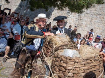 5. međunarodni kongres o ruralnom turizmuTirena i ledenice-81