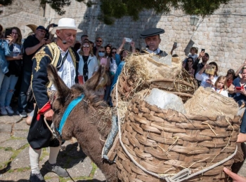 5. međunarodni kongres o ruralnom turizmuTirena i ledenice-82