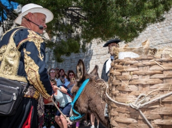 5. međunarodni kongres o ruralnom turizmuTirena i ledenice-86